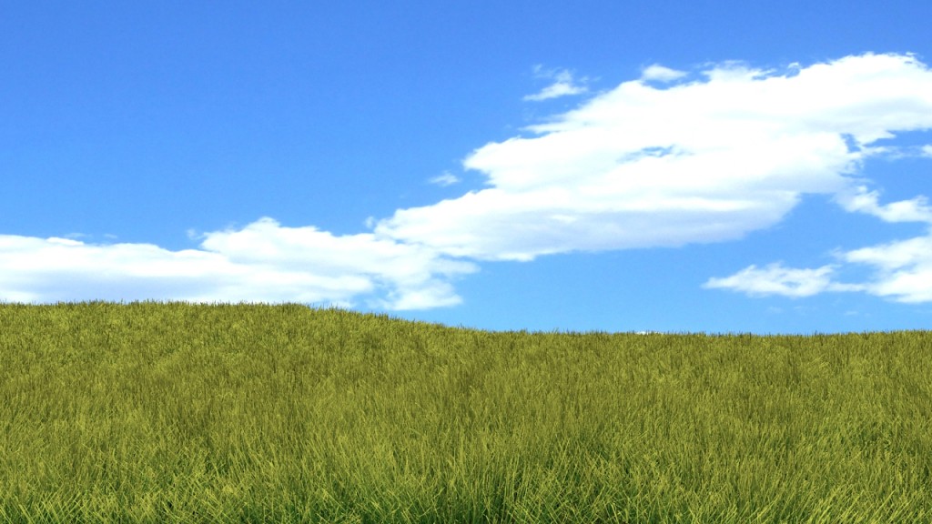 Grass  preview image 1